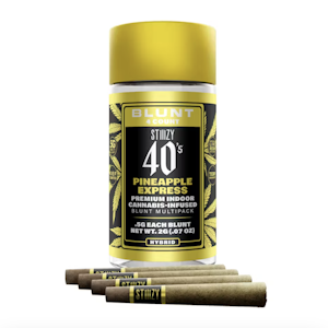 STIIIZY 5g Pineapple Express