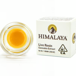 Live Resin Terp Badder 1g