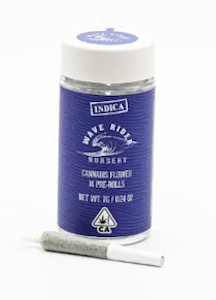 Wave Rider Nursery 7g